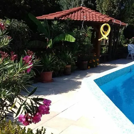 Apartman Palatinus *