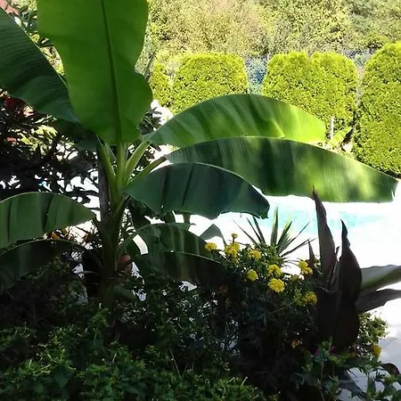 Apartment Palatinus
