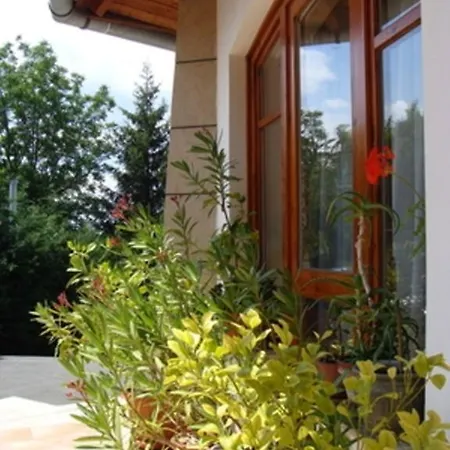 Palatinus Apartment
