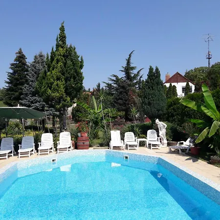 Apartment Palatinus *